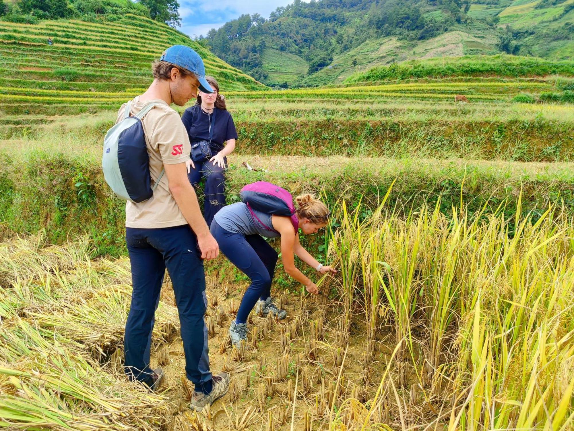 Mu Cang Chai Homestay & Trekking Exterior photo